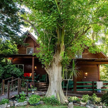 Invito Villa Rosh Pinna Bagian luar foto