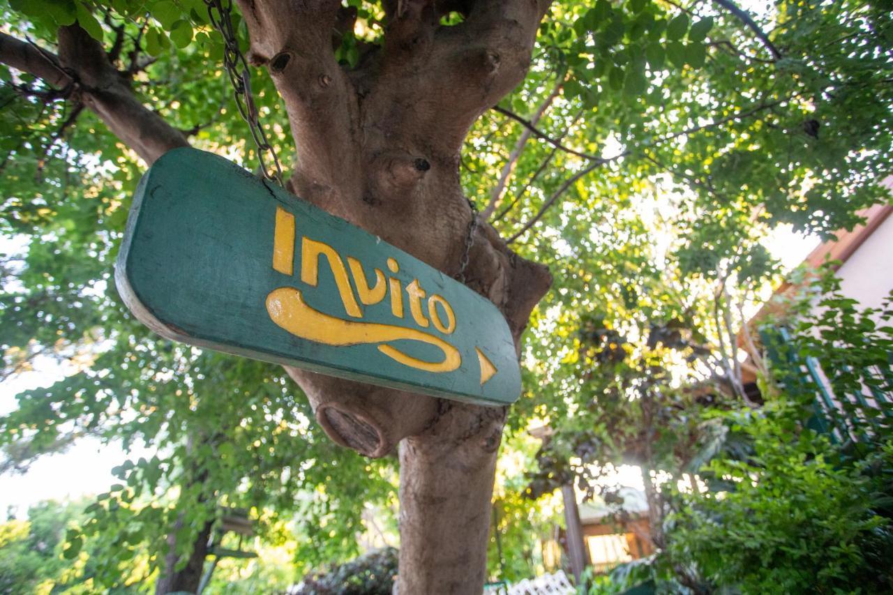 Invito Villa Rosh Pinna Bagian luar foto