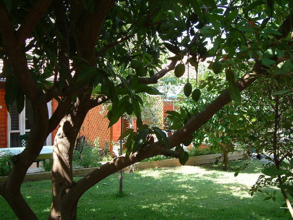 Invito Villa Rosh Pinna Bagian luar foto